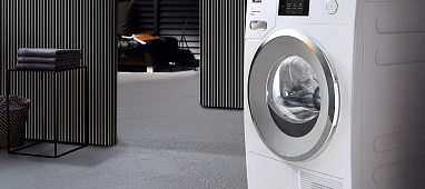 Ремонт сушильных машин Miele